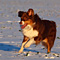Winterimpressionen