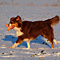 Winterimpressionen