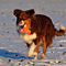 Winterimpressionen