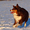 Winterimpressionen