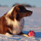 Winterimpressionen