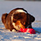 Winterimpressionen