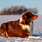 Winterimpressionen