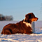 Winterimpressionen