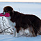 Winterimpressionen