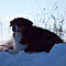 Winterimpressionen