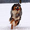 Winterspaziergang