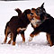 Winterspaziergang