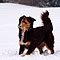 Winterspaziergang