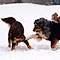 Winterspaziergang