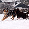 Winterspaziergang