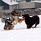 Winterspaziergang