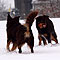 Winterspaziergang