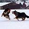 Winterspaziergang