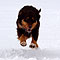 Winterspaziergang