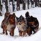 Winterspaziergang