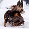 Winterspaziergang