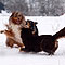 Winterspaziergang