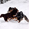Winterspaziergang