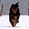 Winterspaziergang