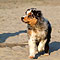 Twist und Smoke in Holland
