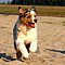 Twist und Smoke in Holland