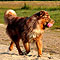 Twist und Smoke in Holland