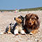 Twist und Smoke in Holland