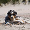 Twist und Smoke in Holland