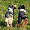 Sonntagsspaziergang