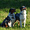 Sonntagsspaziergang