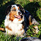 Sonntagsspaziergang