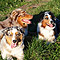 Sonntagsspaziergang