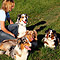 Sonntagsspaziergang