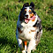 Sonntagsspaziergang