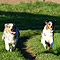 Sonntagsspaziergang