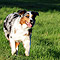 Sonntagsspaziergang