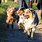 Sonntagsspaziergang
