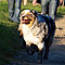 Sonntagsspaziergang