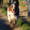 Sonntagsspaziergang