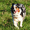 Sonntagsspaziergang