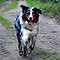 Sonntagsspaziergang