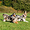 Sonntagsspaziergang