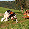 Sonntagsspaziergang
