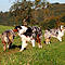 Sonntagsspaziergang