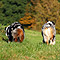 Sonntagsspaziergang