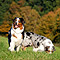 Sonntagsspaziergang