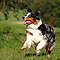Sonntagsspaziergang