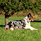 Sonntagsspaziergang