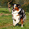 Sonntagsspaziergang